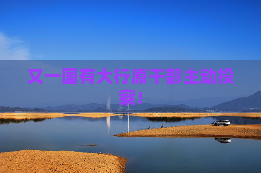 又一国有大行原干部主动投案！  第1张