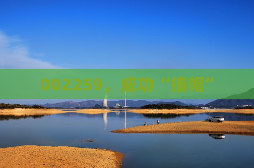 002259，成功“摘帽”