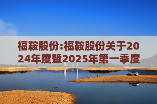 福鞍股份:福鞍股份关于2024年度暨2025年第一季度业绩说明会召开情况的公告
