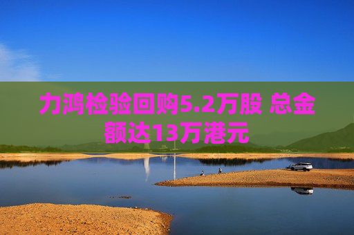 力鸿检验回购5.2万股 总金额达13万港元