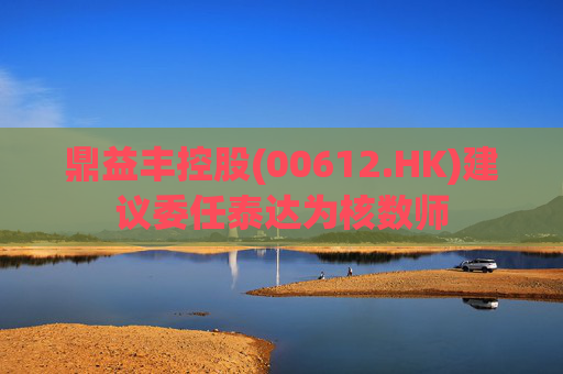 鼎益丰控股(00612.HK)建议委任泰达为核数师