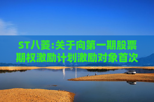 ST八菱:关于向第一期股票期权激励计划激励对象首次授予股票期权的公告