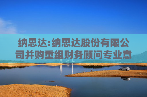 纳思达:纳思达股份有限公司并购重组财务顾问专业意见附表第2号――重大资产重组