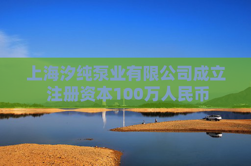 上海汐纯泵业有限公司成立 注册资本100万人民币