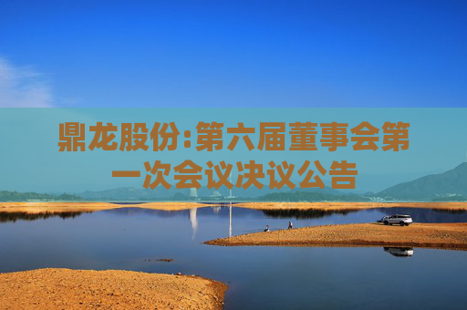 鼎龙股份:第六届董事会第一次会议决议公告