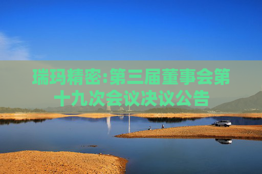瑞玛精密:第三届董事会第十九次会议决议公告