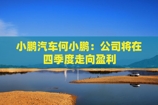 小鹏汽车何小鹏：公司将在四季度走向盈利