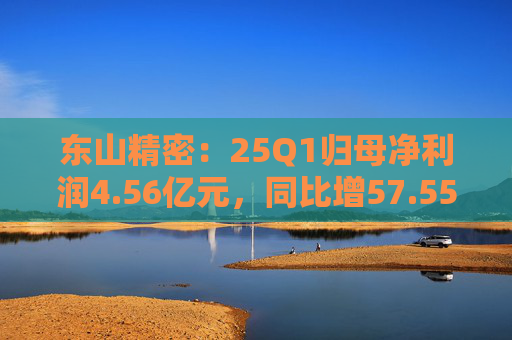 东山精密：25Q1归母净利润4.56亿元，同比增57.55%