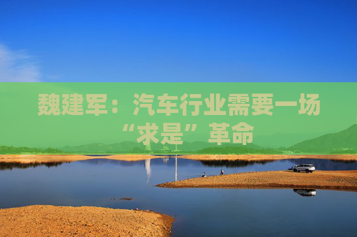 魏建军：汽车行业需要一场“求是”革命