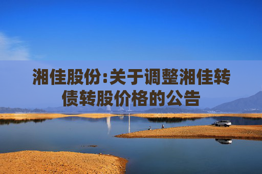 湘佳股份:关于调整湘佳转债转股价格的公告
