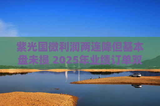 紫光国微利润两连降但基本盘未损 2025年业绩订单双双好转春天将至？