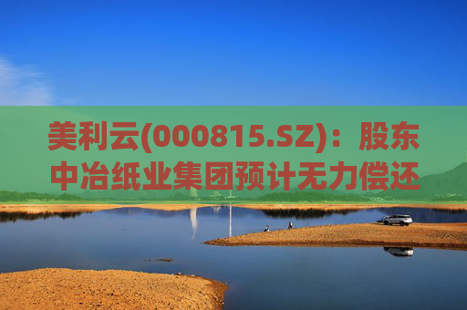 美利云(000815.SZ)：股东中冶纸业集团预计无力偿还到期债务