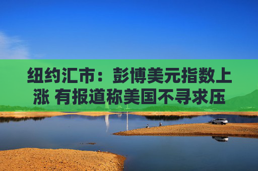 纽约汇市：彭博美元指数上涨 有报道称美国不寻求压低美元汇率