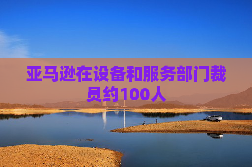 亚马逊在设备和服务部门裁员约100人