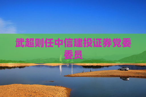 武超则任中信建投证券党委委员