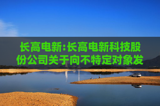 长高电新:长高电新科技股份公司关于向不特定对象发行可转换公司债券预案及相关文件修订情况说明的公告