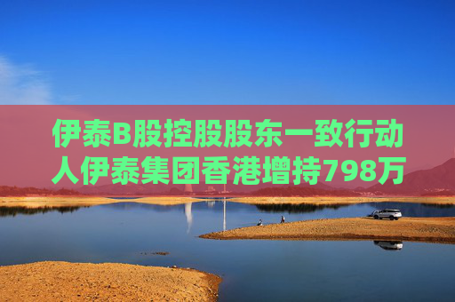 伊泰B股控股股东一致行动人伊泰集团香港增持798万股