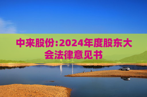 中来股份:2024年度股东大会法律意见书