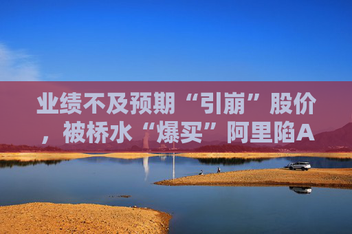 业绩不及预期“引崩”股价，被桥水“爆买”阿里陷AI叙事“阵痛”