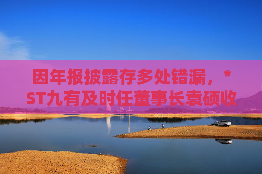 因年报披露存多处错漏，*ST九有及时任董事长袁硕收上交所监管警示函