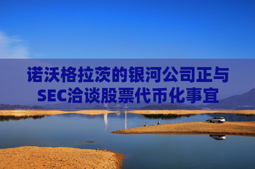 诺沃格拉茨的银河公司正与SEC洽谈股票代币化事宜