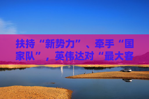 扶持“新势力”、牵手“国家队”，英伟达对“最大客户”时刻提防