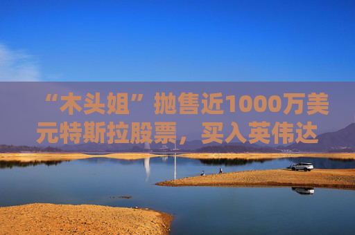 “木头姐”抛售近1000万美元特斯拉股票，买入英伟达和AMD