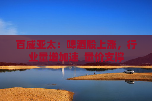 百威亚太：啤酒股上涨，行业量增加速  量价支撑 第1张