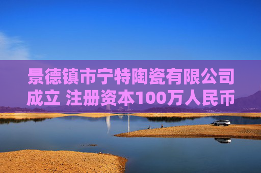 景德镇市宁特陶瓷有限公司成立 注册资本100万人民币  第1张