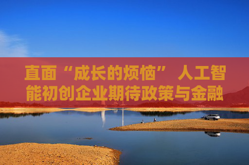 直面“成长的烦恼” 人工智能初创企业期待政策与金融助力破局