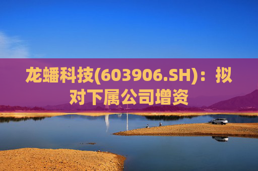 龙蟠科技(603906.SH)：拟对下属公司增资