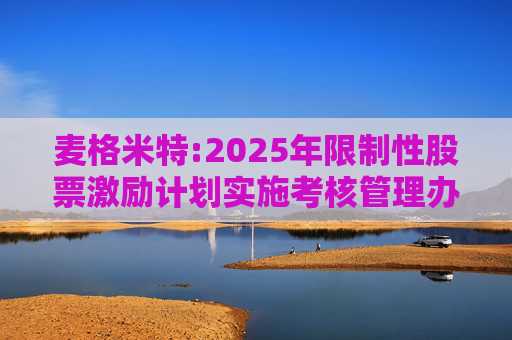 麦格米特:2025年限制性股票激励计划实施考核管理办法