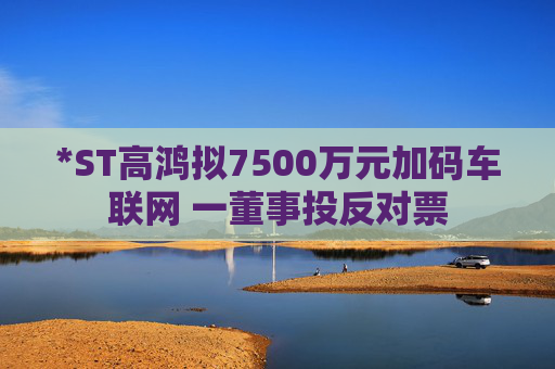 *ST高鸿拟7500万元加码车联网 一董事投反对票