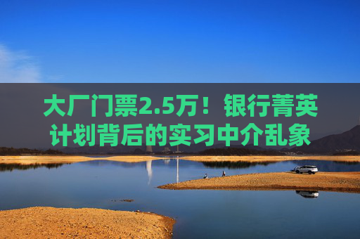 大厂门票2.5万！银行菁英计划背后的实习中介乱象