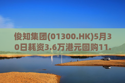 俊知集团(01300.HK)5月30日耗资3.6万港元回购11.8万股