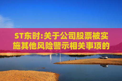ST东时:关于公司股票被实施其他风险警示相关事项的进展公告