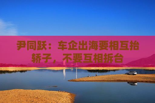 尹同跃：车企出海要相互抬轿子，不要互相拆台