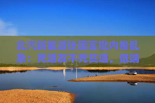 北汽新能源张国富批内卷乱象：死道友不死贫道，低端竞争是一条死胡同