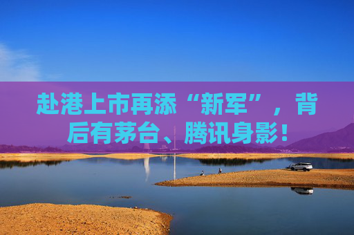 赴港上市再添“新军”，背后有茅台、腾讯身影！