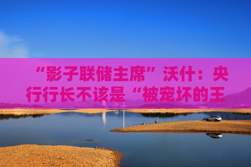 “影子联储主席”沃什：央行行长不该是“被宠坏的王子”，央行成立就是为了给政客找个“替罪羊”