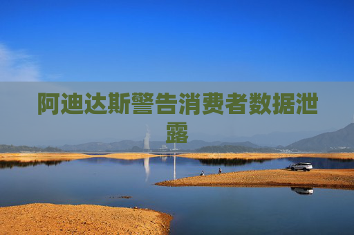 阿迪达斯警告消费者数据泄露  第1张