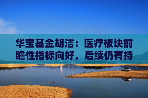 华宝基金胡洁：医疗板块前瞻性指标向好，后续仍有持续上涨动力