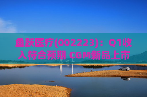 鱼跃医疗(002223)：Q1收入符合预期 CGM新品上市丰富增长动能