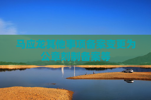马应龙其他事项备案变更为公章刻制备案等