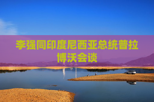 李强同印度尼西亚总统普拉博沃会谈