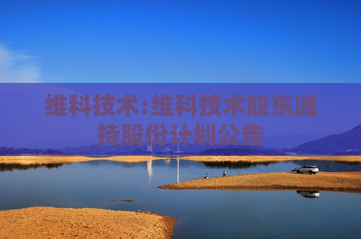 维科技术:维科技术股东减持股份计划公告  第1张