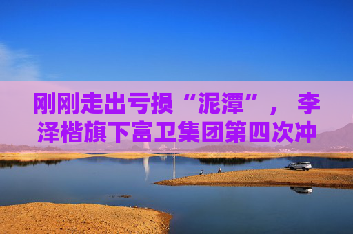 刚刚走出亏损“泥潭”， 李泽楷旗下富卫集团第四次冲刺港股IPO  第1张