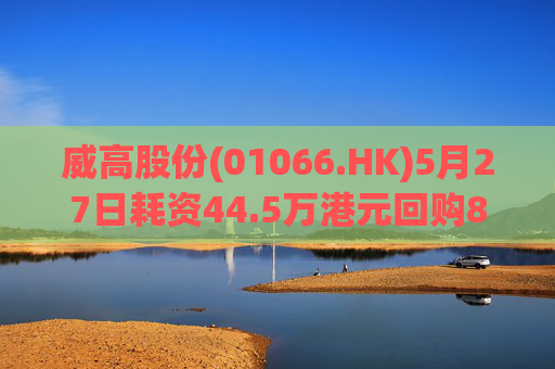 威高股份(01066.HK)5月27日耗资44.5万港元回购8万股  第1张