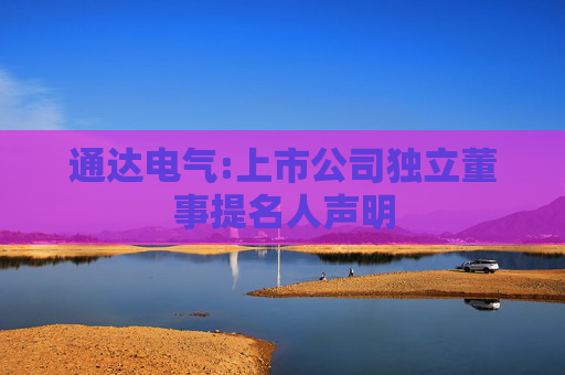 通达电气:上市公司独立董事提名人声明