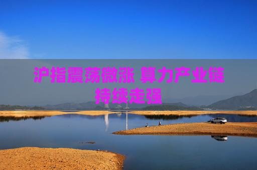 沪指震荡微涨 算力产业链持续走强  第1张